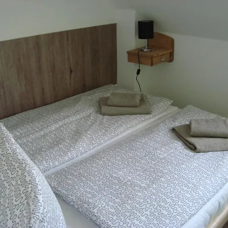 Muschelsucher Norden