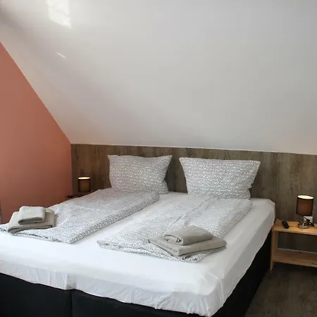 Muschelsucher Norden