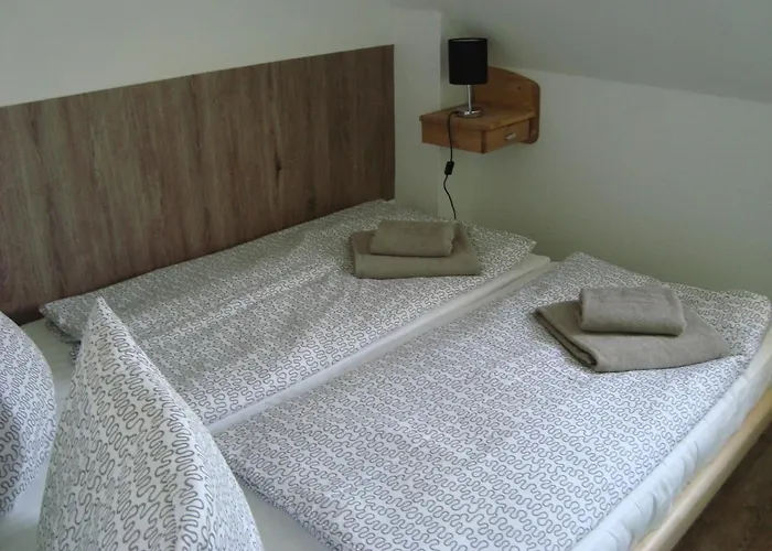 Muschelsucher 诺登